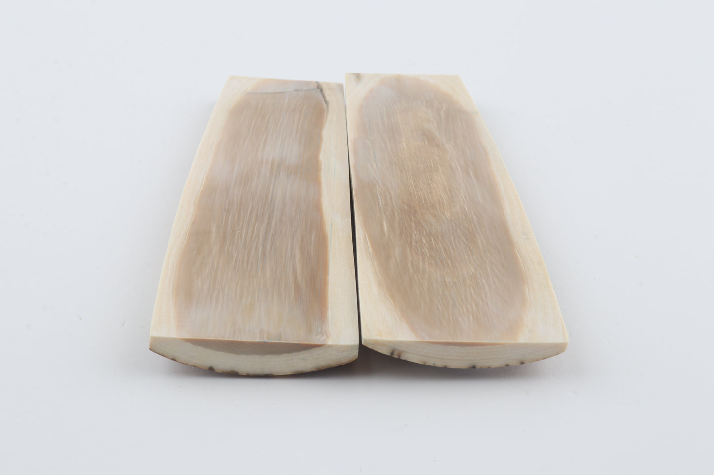 Natural mammoth bark scales