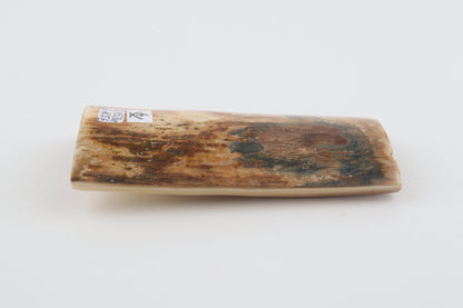 Natural woolly mammoth bark