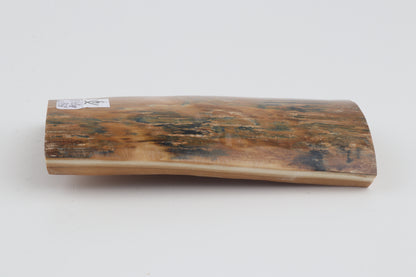 Orange-blue mammoth bark