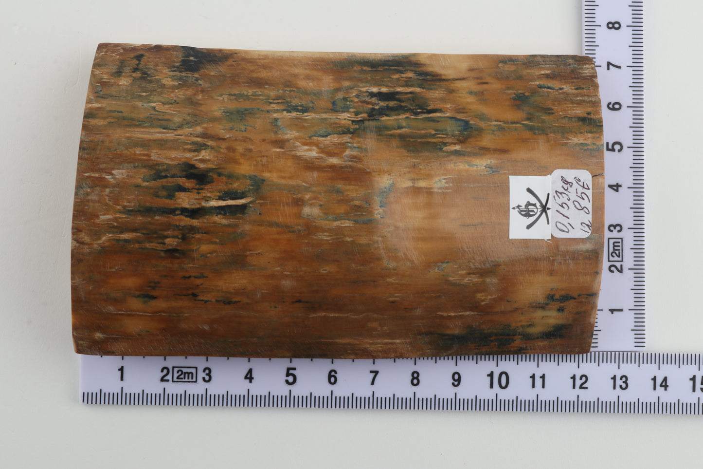 Orange-blue mammoth bark