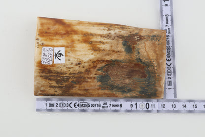 Natural woolly mammoth bark