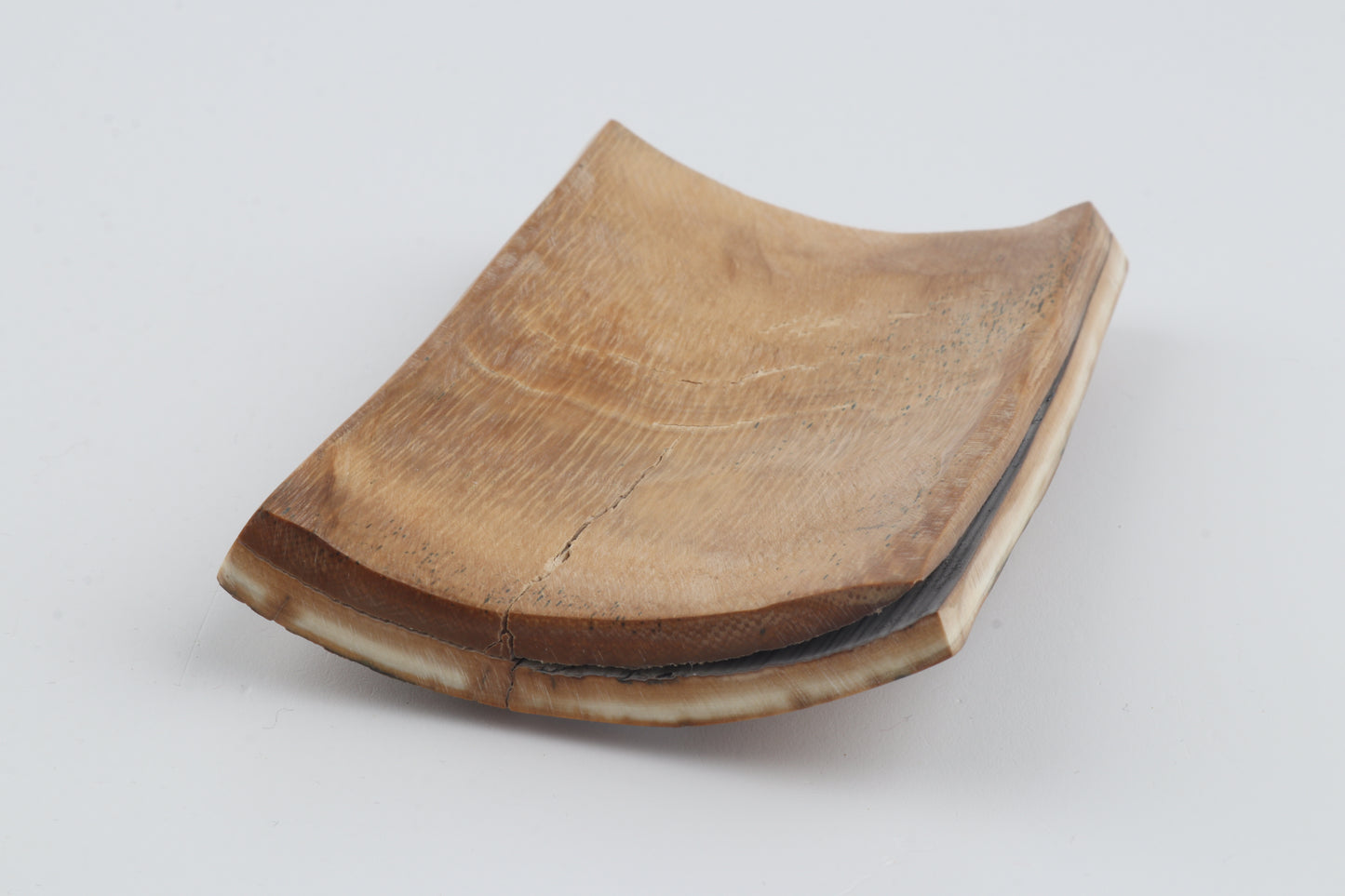 Orange-blue mammoth bark