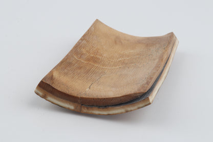 Orange-blue mammoth bark