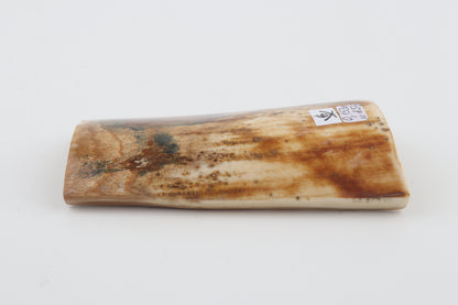 Natural woolly mammoth bark