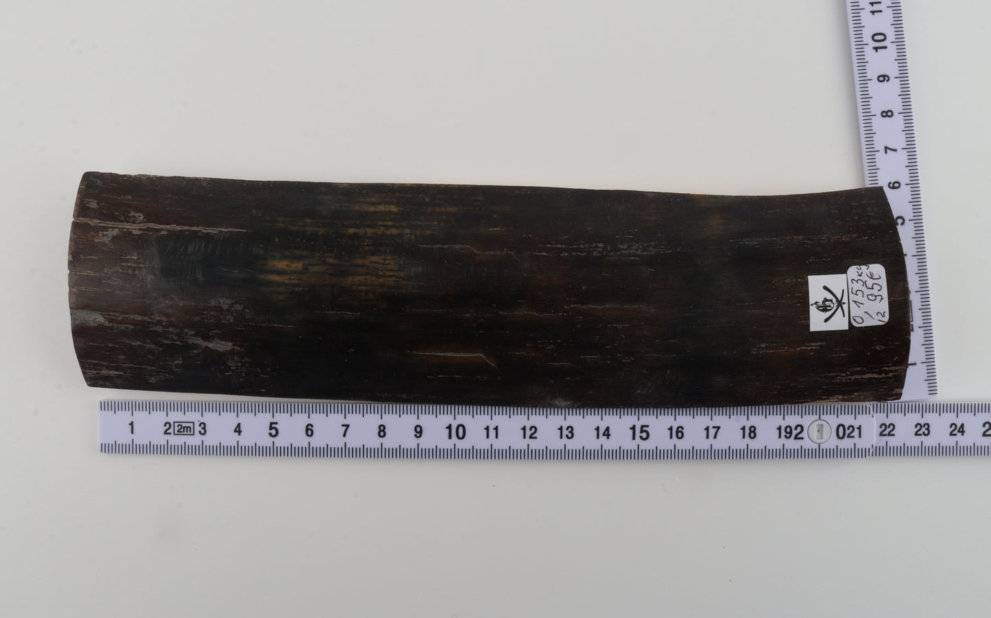 Brown-blue mammoth bark