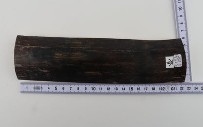 Brown-blue mammoth bark