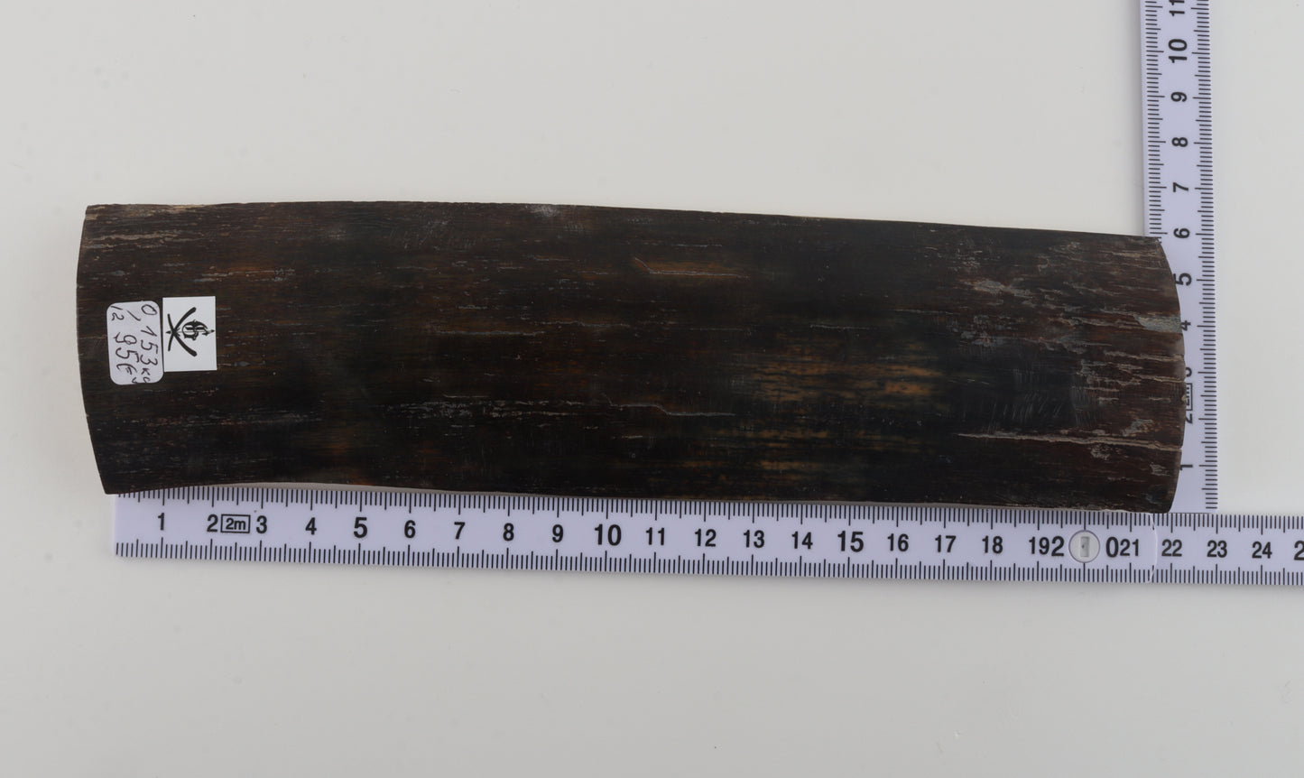 Brown-blue mammoth bark