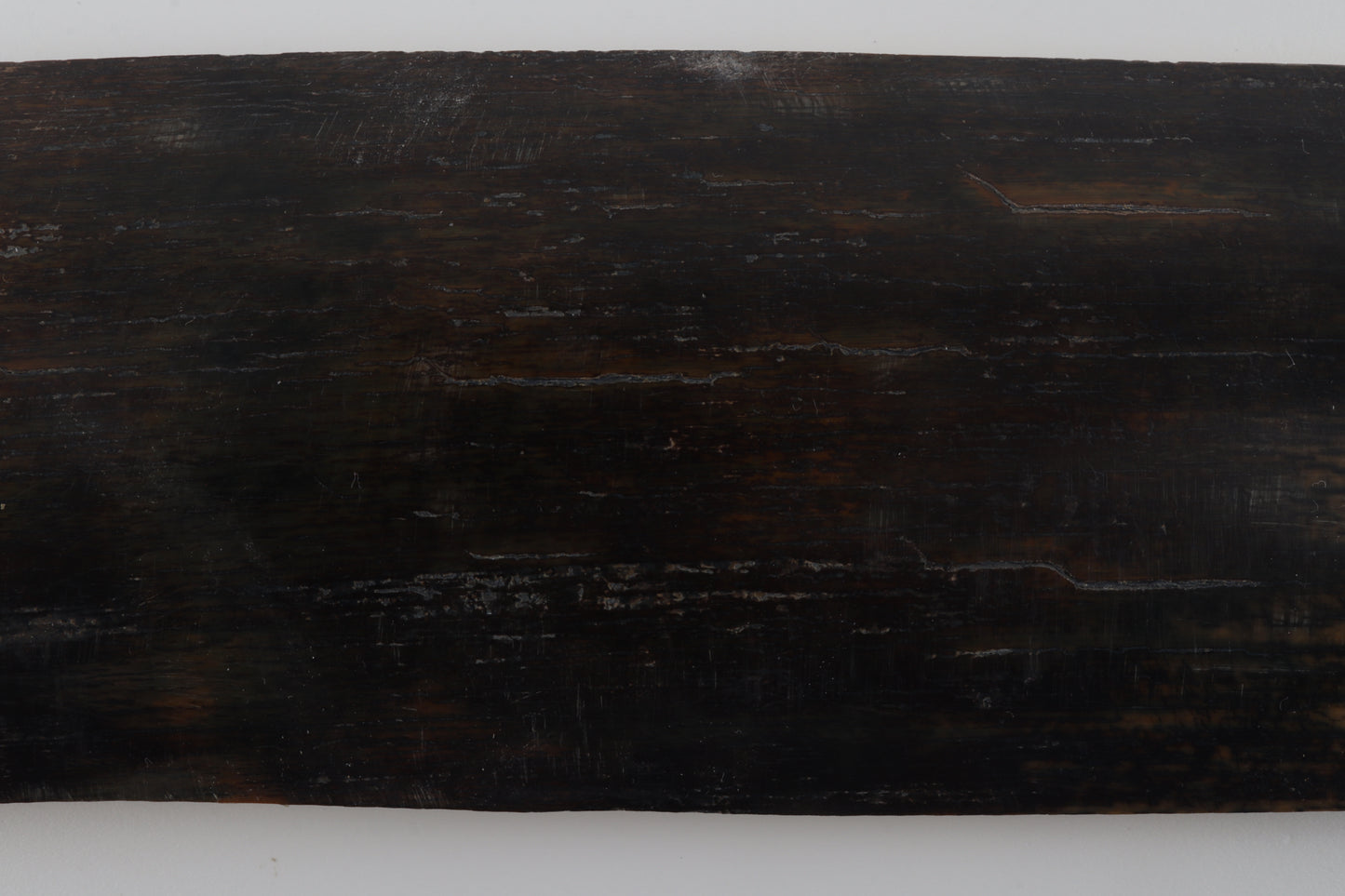 Brown-blue mammoth bark