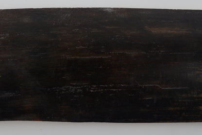 Brown-blue mammoth bark
