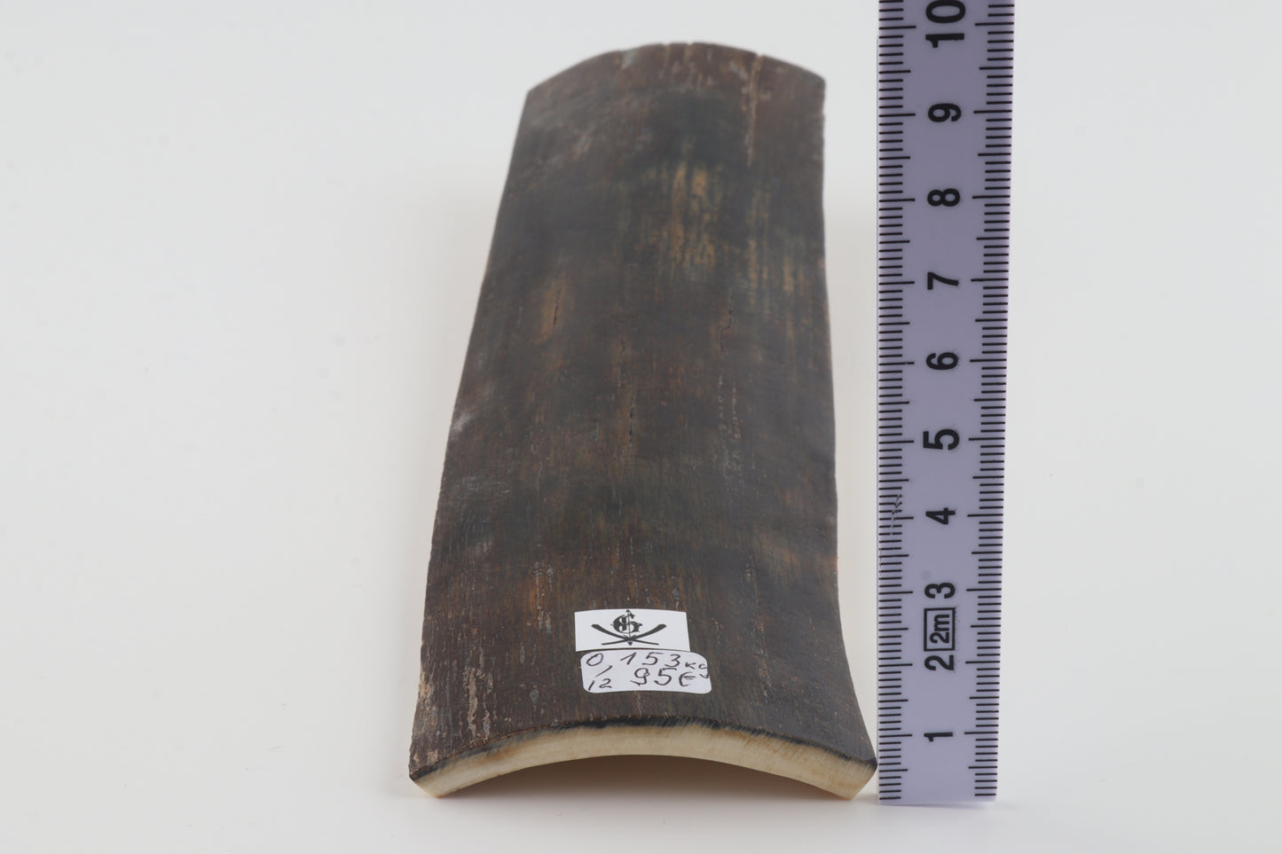 Brown-blue mammoth bark