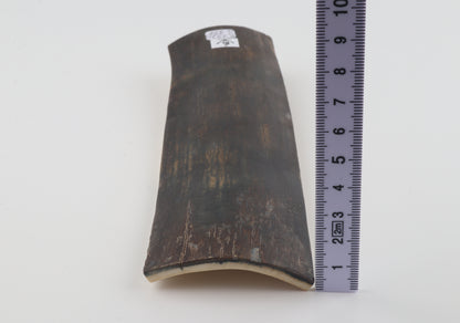 Brown-blue mammoth bark