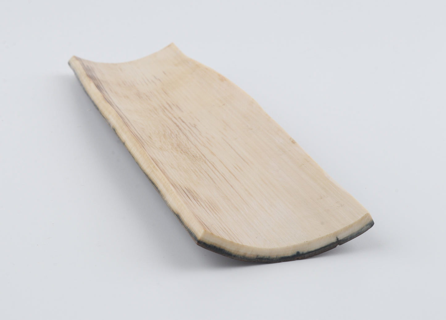 Brown-blue mammoth bark