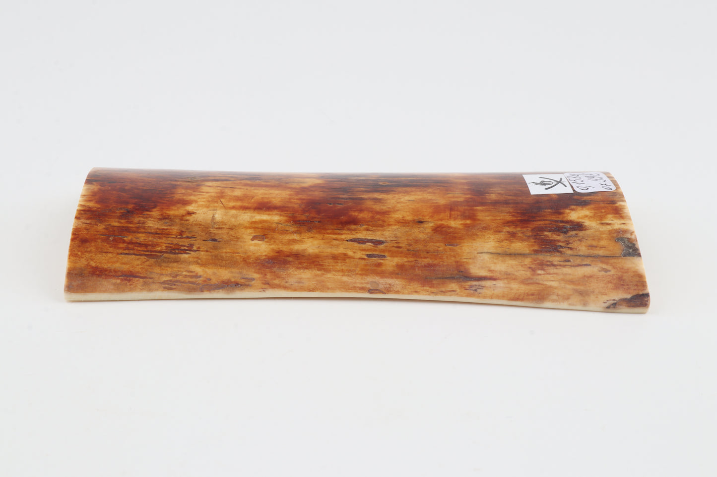 Orange-brown mammoth bark
