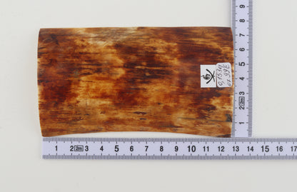 Orange-brown mammoth bark