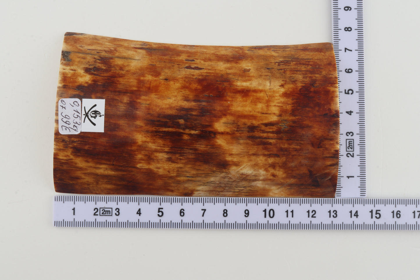 Orange-brown mammoth bark