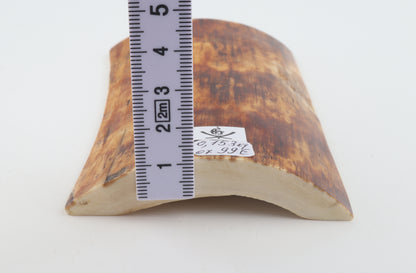 Orange-brown mammoth bark