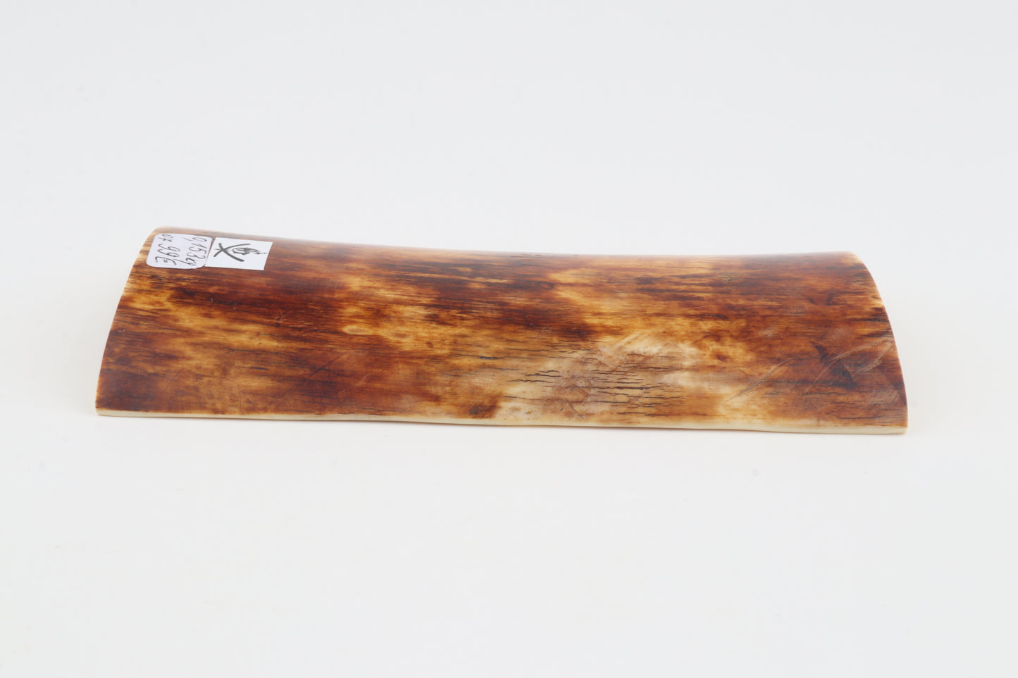 Orange-brown mammoth bark