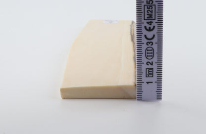 White mammoth ivory segment