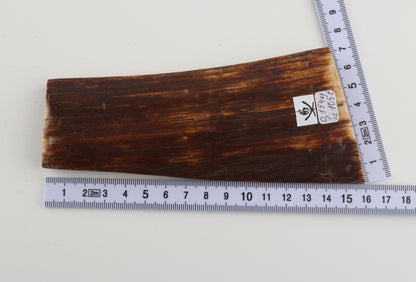 Red-brown mammoth bark