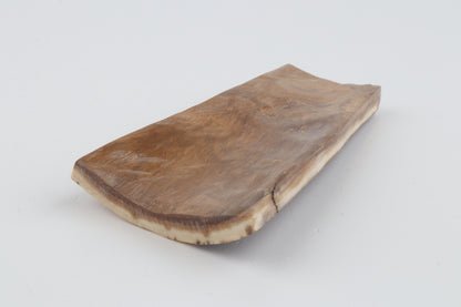 Red-brown mammoth bark