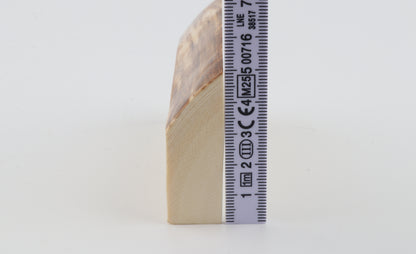 White mammoth ivory segment