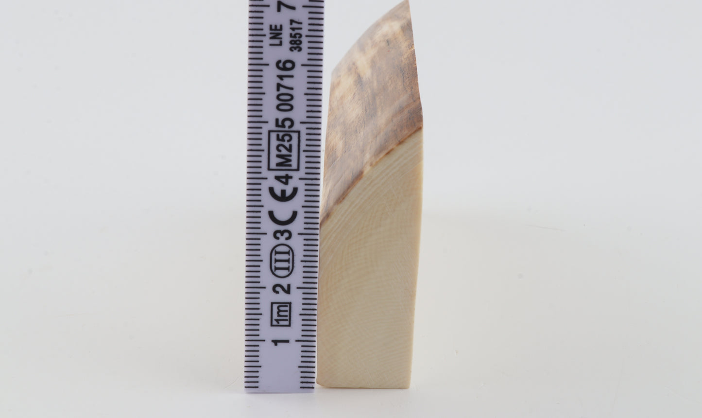 White mammoth ivory segment