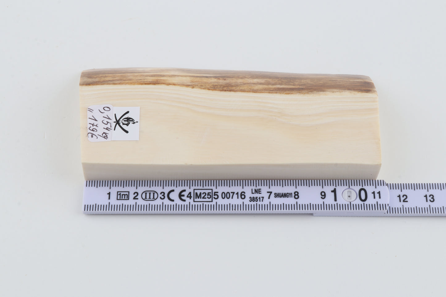 White mammoth ivory segment