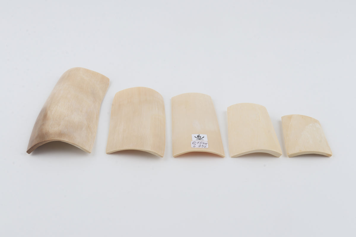 Creme-white mammoth ivory pieces