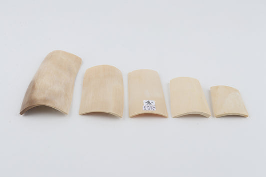 Creme-white mammoth ivory pieces