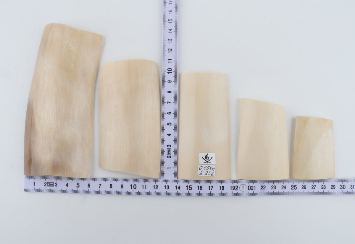 Creme-white mammoth ivory pieces