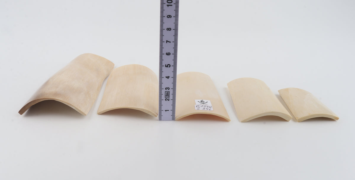 Creme-white mammoth ivory pieces