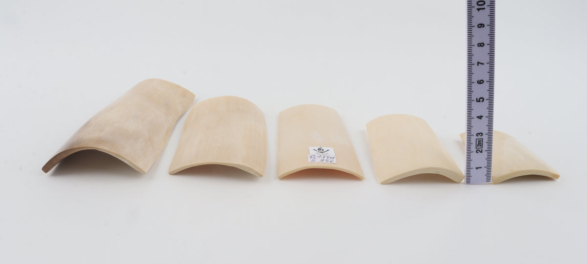 Creme-white mammoth ivory pieces