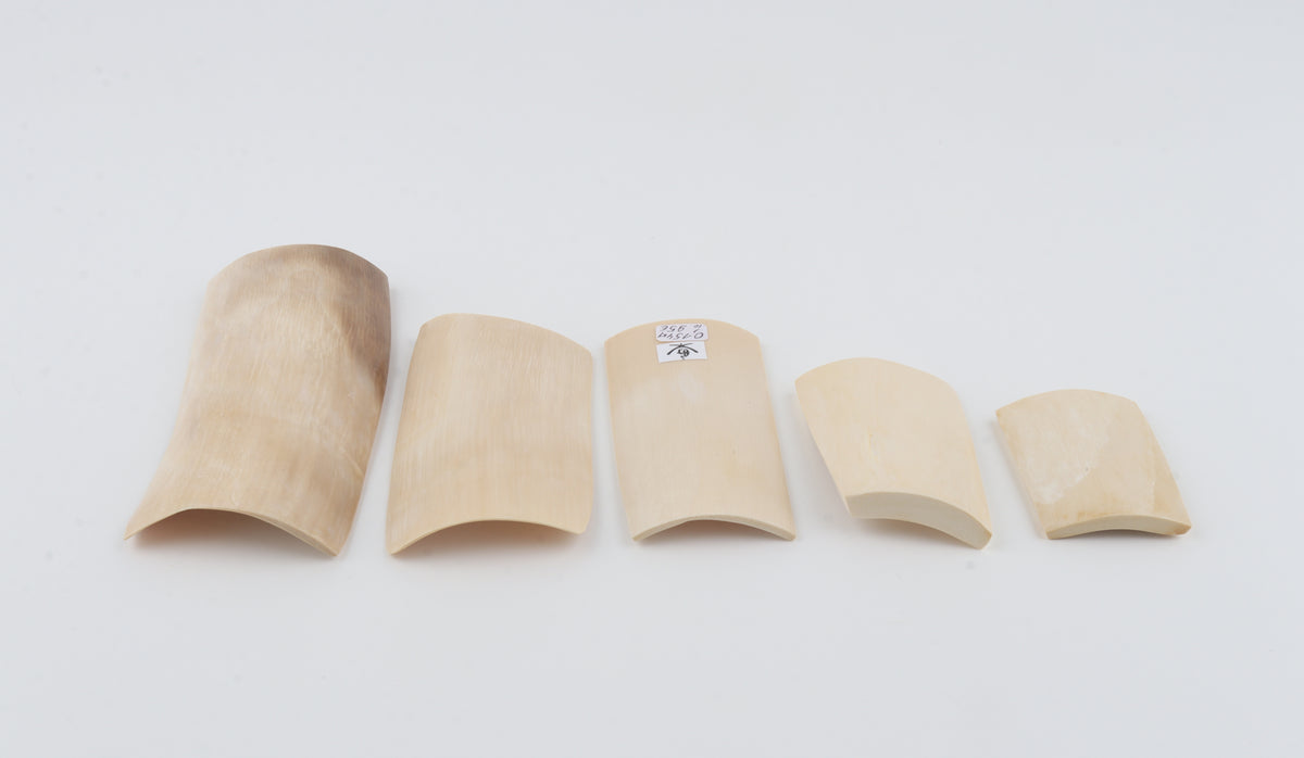 Creme-white mammoth ivory pieces