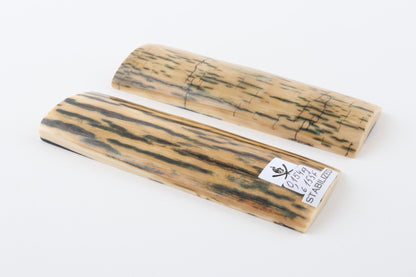 Stabilized mammoth bark scales