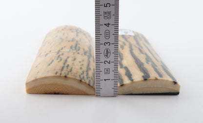 Stabilized mammoth bark scales