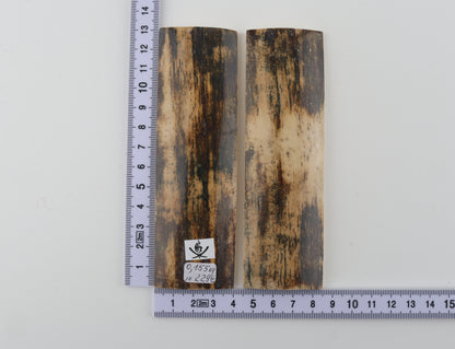 Natural mammoth bark scales