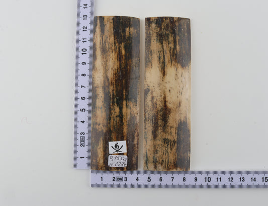 Natural mammoth bark scales