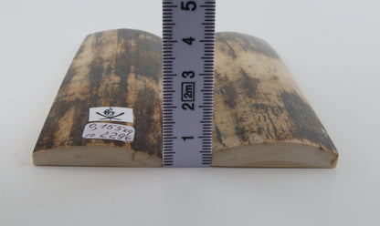 Natural mammoth bark scales