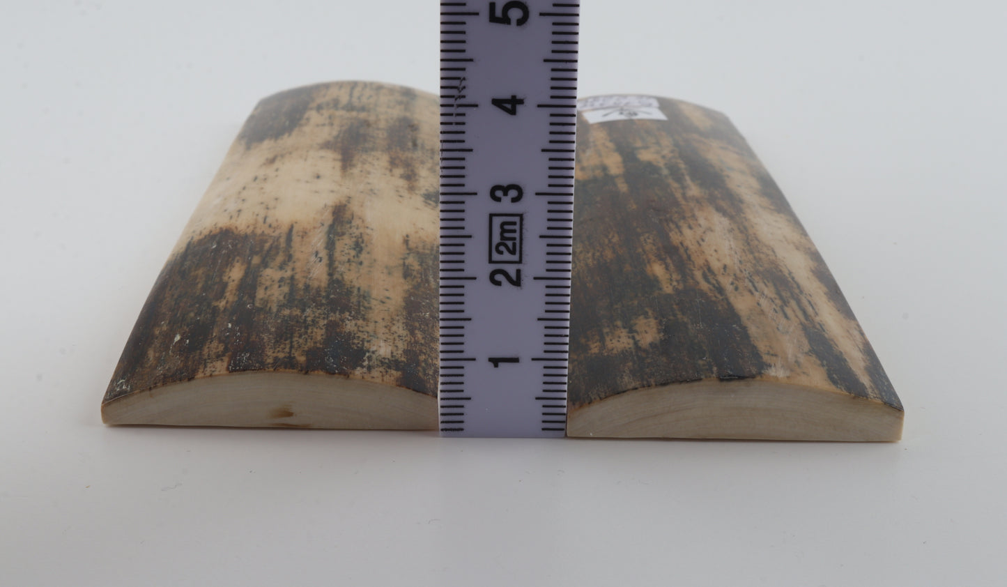 Natural mammoth bark scales