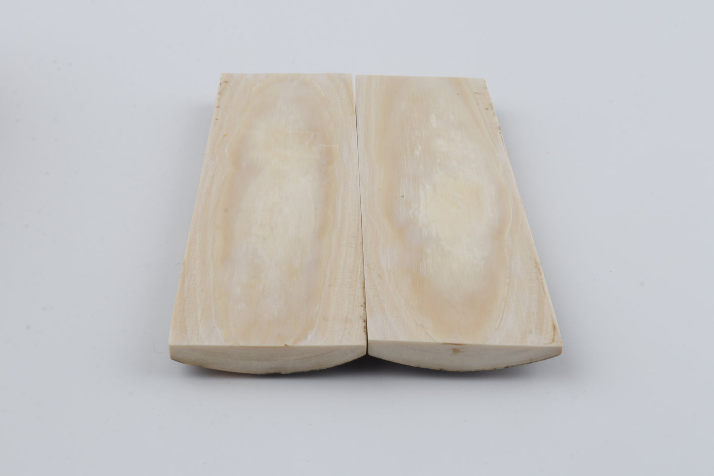 Natural mammoth bark scales