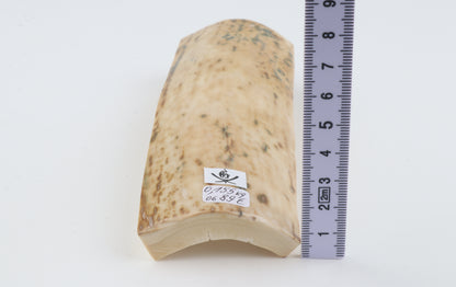 Creme mammoth bark