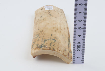 Creme mammoth bark