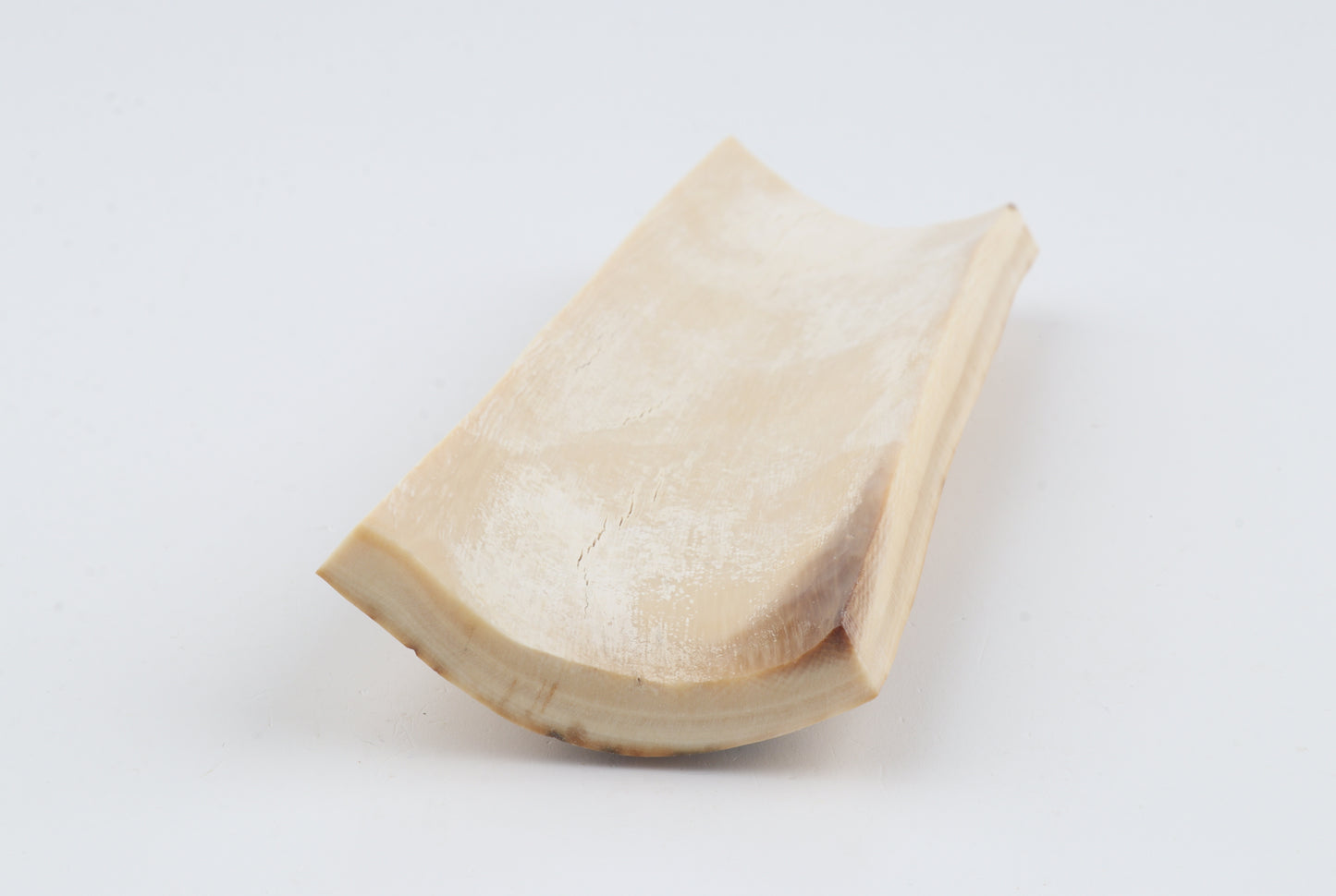Creme mammoth bark