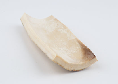 Creme mammoth bark