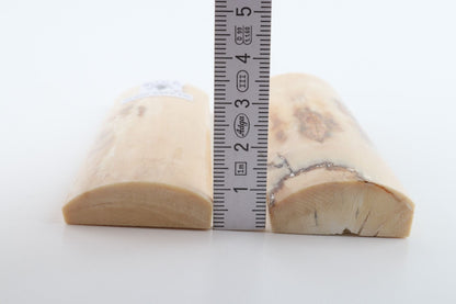 Stabilised mammoth bark scales