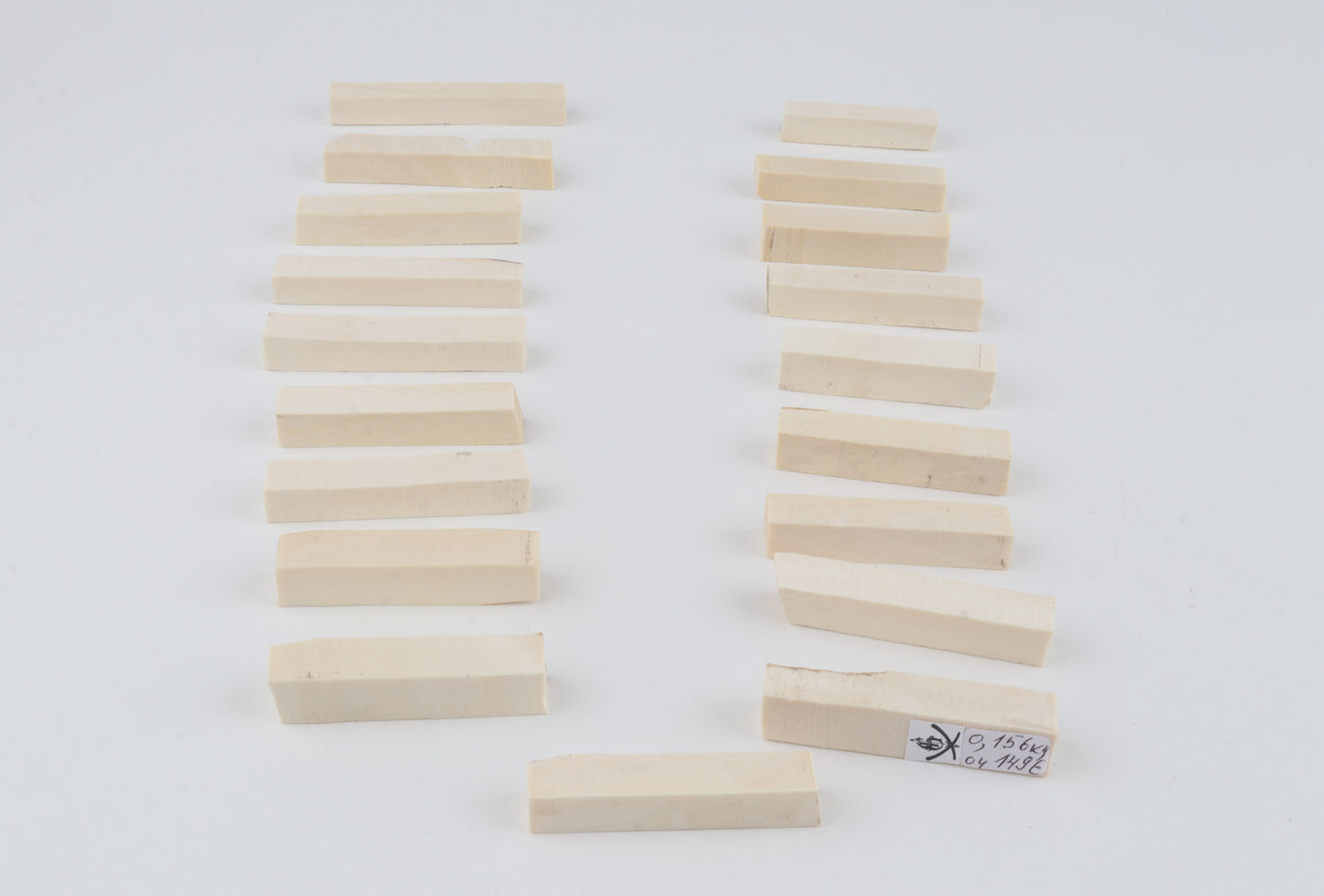 White mammoth ivory segments