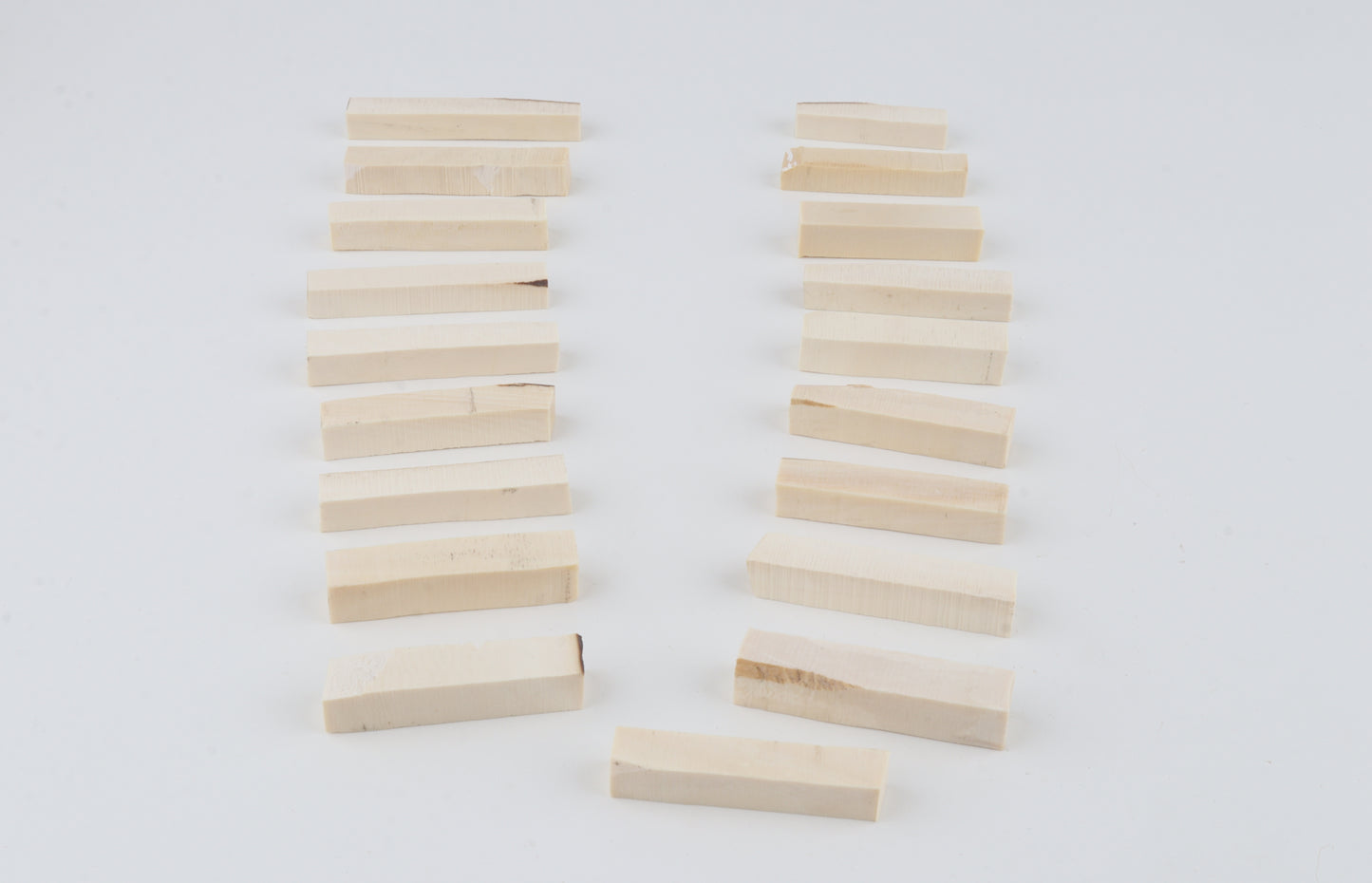 White mammoth ivory segments