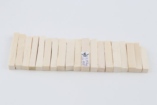 White mammoth ivory segments