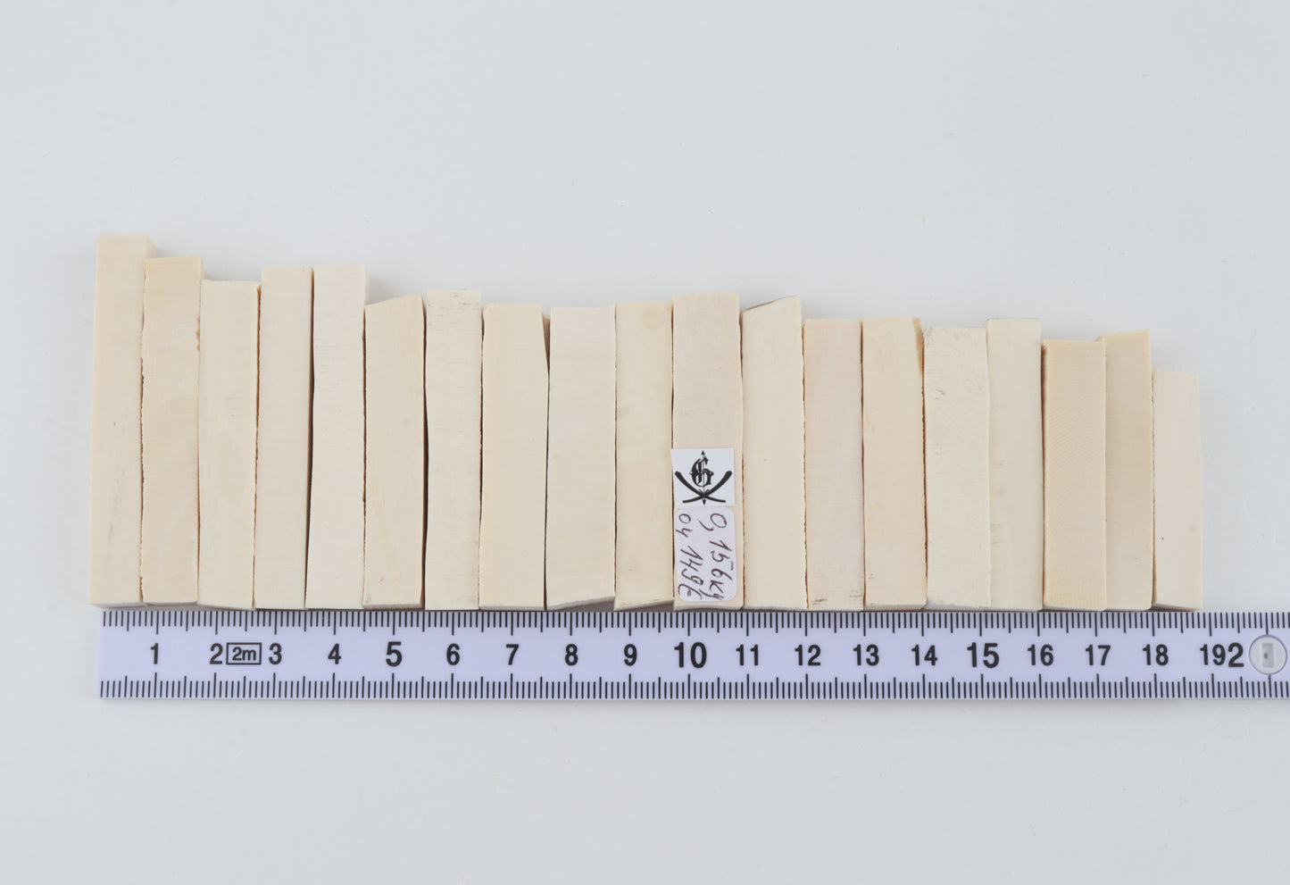 White mammoth ivory segments