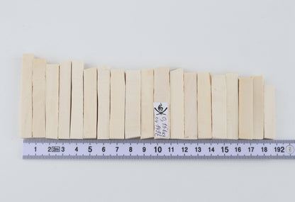 White mammoth ivory segments